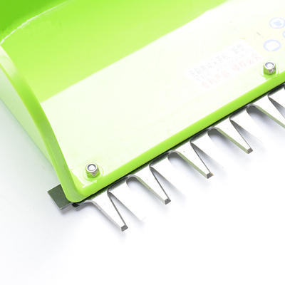 24V Elektrikli FırçasızÇay Toplama Makinesi Pil Taşınabilir Çay Harvester 600W 1500S / DK