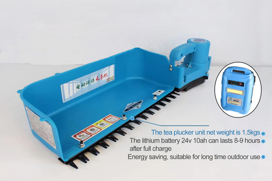 Açık için 24v 10Ah Mini Akülü Çay Toplama Makinesi Çay Harvester
